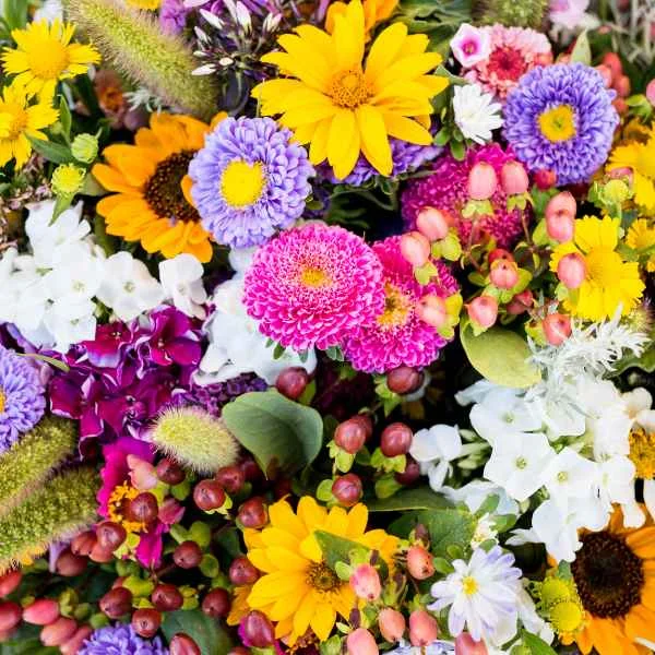 Colorful mixed flower bouquet with sunflowers, daisies, asters and white blooms